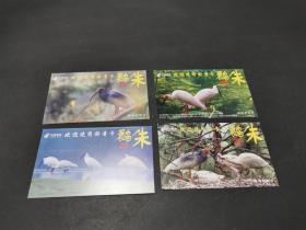 中国邮政明信片 朱鹮（含邮资）四张合售