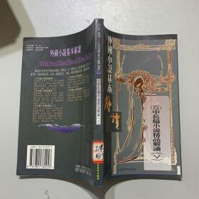 (插图)外国小说基本解读专著:中长篇小说精品 2