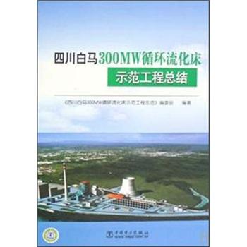 四川白马300MW循环流化床示范工程总结