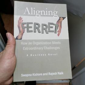 Aligning ferret how an organization meets extraordinary challenges ni 组织应对超常挑战