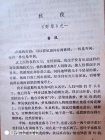 大学语文（下）