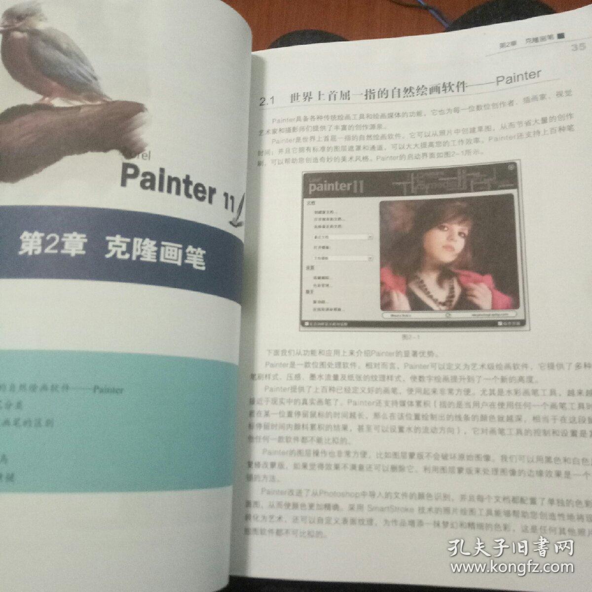 Painter 11中文版标准培训教程