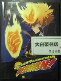 漫画 家庭教师 KATEKYO HITMAN REBORN 大16开铜版纸全彩画集（46493)