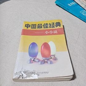 中国最佳经典小小说