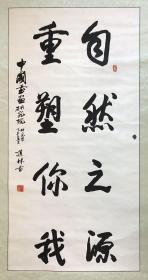 杨道林 136*68 *2  纸本立轴   少将