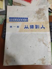 老挂图 ： 社会发展简史教学图片（ 第一套从猿到人）周初明 绘【75年一版一印】