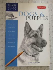Drawing Made Easy  Dogs & Pupples  By Nolon Stacey  英文原版