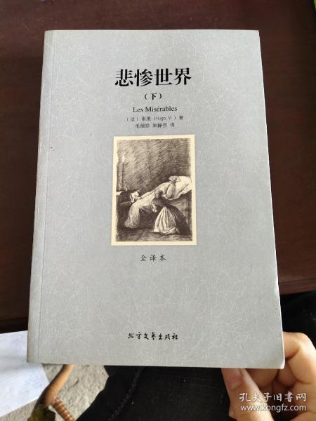 世界文学名著:悲惨世界(全译本)(套装共2册)