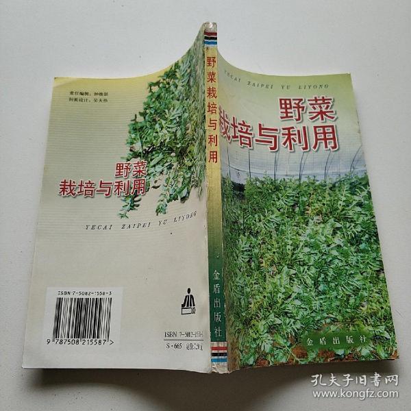 野菜栽培与利用