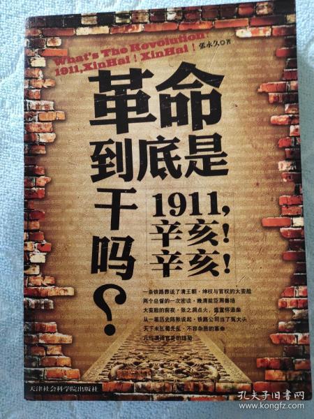 革命到底是干吗？：1911，辛亥！辛亥！