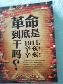 革命到底是干吗？：1911，辛亥！辛亥！