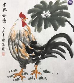 陈浩 三尺斗方鸡，50×50cm，可落款