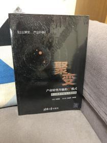 聚变：产业转型升级的C3模式——中卫体系经验与大陆实践