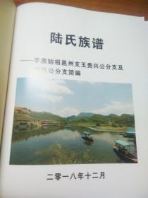 陆氏族谱  平原始祖邕州支玉贵兴公分支及 凤公分支简编