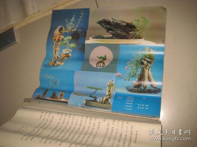 .1982年盆景.书法挂历.有盆景摄影图片13幅.书法.篆刻12幅.  347