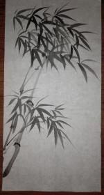 手绘真迹国画:无款20200331-08四尺四开