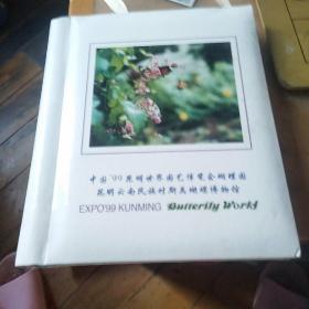 中国九九昆明世界园艺博览会蝴蝶园