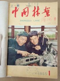 《中国林业》【 1965年第1—12期 合订本】（稀有老期刊。封底封面均为彩色精美宣传图画）