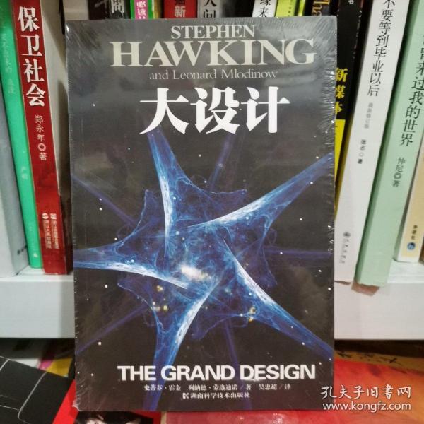 大设计