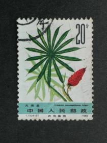 邮票T72药用植物（第二组）6-5信销近上品（折背胶未处理好）