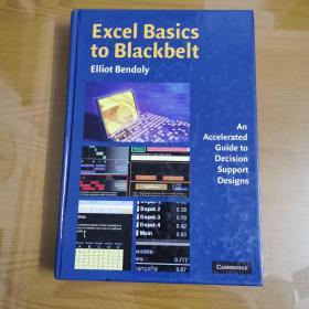 Excel Basics to Blackbelt：An Accelerated Guide to Decision Support Designs