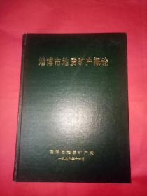 淄博市地质矿产概论【仅印220册】