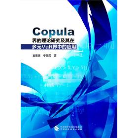 Copula界的理论研究及其在多元VaR界中的应用