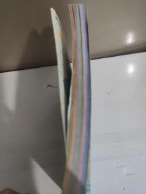 新东方：我的第一本好奇心英语书