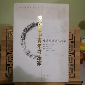 陕西省中青年书法家优秀作品展作品集