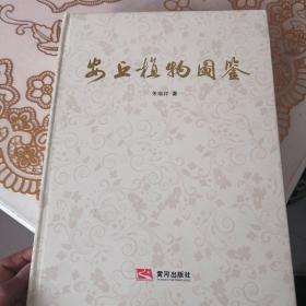 安丘植物图鉴