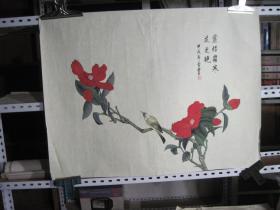 花鸟一幅：叶经风霜花更艳（65×49厘米）