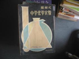 圖解式中學(xué)化學(xué)實(shí)驗(yàn)