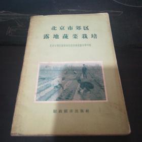 北京市郊區(qū)露地蔬菜栽培