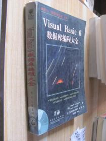 VISUAL BASIC6数据库编程大全