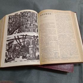 新观察合订本(1983-1984)