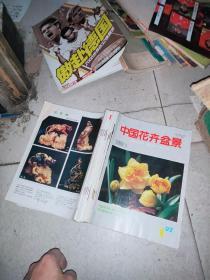 中国花卉盆景 1997  1--12  全部  线装订