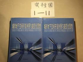 城市地下空间开发利用与规范化管理（一、三）二本合售