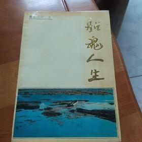 船魂人生