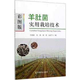 彩图版羊肚菌实用栽培技术