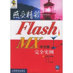 感受精彩：Flash MX中文版完全实例