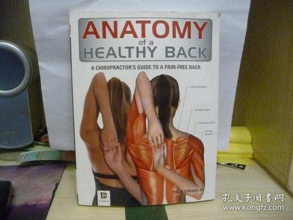 ANATOMY of a HEALTHY BACK A CHIROPRACTOR'S GUIDE TO A PAIN-FREE BACK（详见图片）