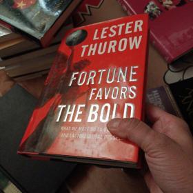 Fortune Favors the Bold：What We Must Do to Build a New and Lasting Global Prosperity