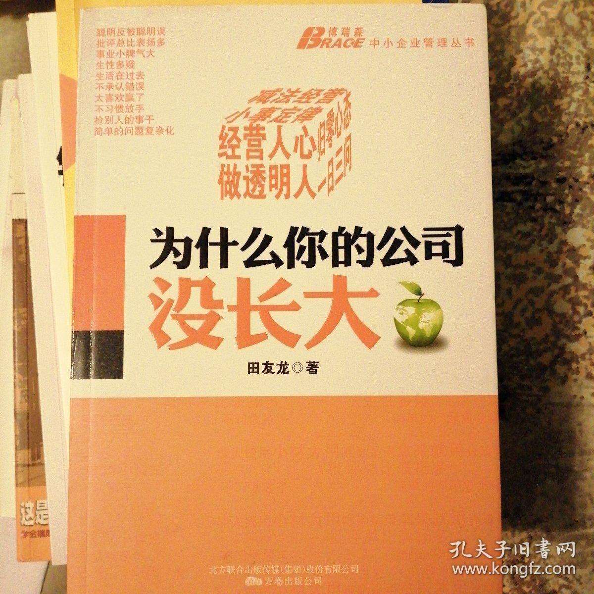 为什么你的公司没长大