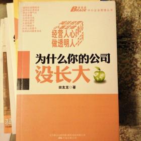为什么你的公司没长大