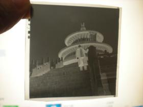 老照片----底片；北京天坛留影，视角独特，漂亮。