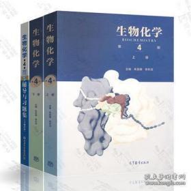 生物化学朱圣庚第四版上册 +下册 生物化学第四版同步辅导与习题集上下册合订本含考研真题共三本