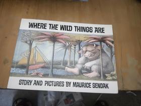 Where the Wild Things Are