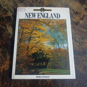 NEW  ENGLAND   看图