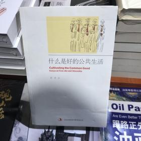 什么是好的公共生活