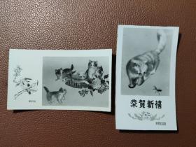 老照片： 黑白照片-- 猫咪、恭贺新禧       共有2张合售    文件盒七